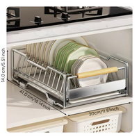 Stainless Steel Pull-Out Dish Rack