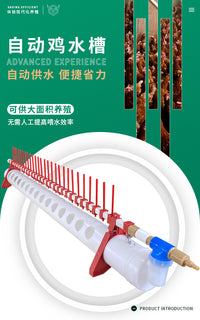 家禽自动饮水器鸡用饮水槽喂水喝水鸭子鹅养殖设备鸡厂普拉松水壶
