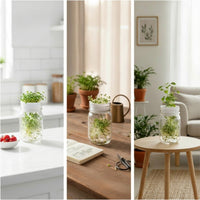 2 Pieces Sprouting Tray with Drainage Hydroponic for Kitchen