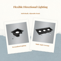 Adjustable double LED downlight