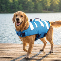 Adjustable Dog Life Jacket with Rescue Handle Secure Dog Life Jacket with D-Attachment High-Buoyancy Lightweight for Young Dogs