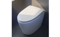 Instant Heating Smart Bidet Toilet Multi-Function Bidet Toilet Seat Multiple Cleaning Modes Handheld Controller Control