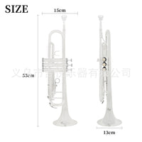 Professional Silver-Plated Brass Bb Trumpet for School Bands, Cross-Border Wholesale