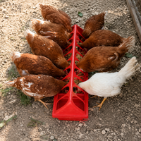 Chicken Feeder, Poultry Feeder, Chick Feeding Trough, Plastic, Easy to Clean, Red