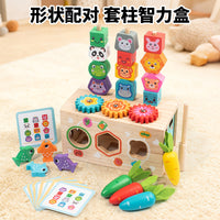 Wooden Animal Shape Sorting Toy with Fruit Matching and Fishing Game