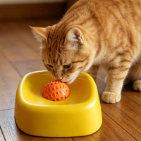 Slow Feed Lick Bowl Silicone Pet Feeding Gear Easy to Clean