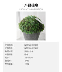 仿真绿植榕树海棠多肉仙人掌 小盆栽 圆叶植物网红办公桌面室内