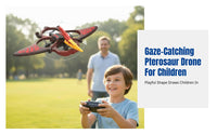Foam Pterosaur Glider, Remote Control Stunt Rolling Drone, Airplane Toy