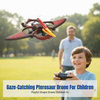 Foam Pterosaur Glider, Remote Control Stunt Rolling Drone, Airplane Toy