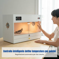 Thermostatic Parrot Brooder Box, Drawer Enclosure, Avian Breeding