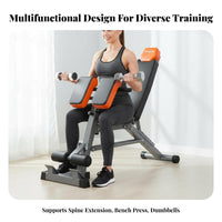 Roman Chair, Preacher Curl Bench, Home Gym Equipment, Multi-Functional Indoor Exercise Bench, Dumbbell Bench, Barbell Support,