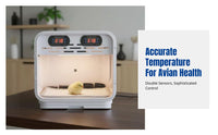 Pet Parrot Incubator, Smart Warm Air Brooder, Automatic Air Exchange, For Young Birds