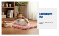 Soft Chenille Small Pet Mat, Washable Absorbent Pad for Rabbits, Guinea Pigs, Breathable, Non-Slip, Multi-Color