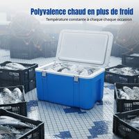 Large Food Chiller Box, Insulated, Delivery, Catering, Outdoor