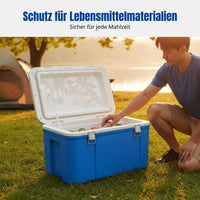 Large Insulated Chiller Box, Food Transport, Delivery, Catering