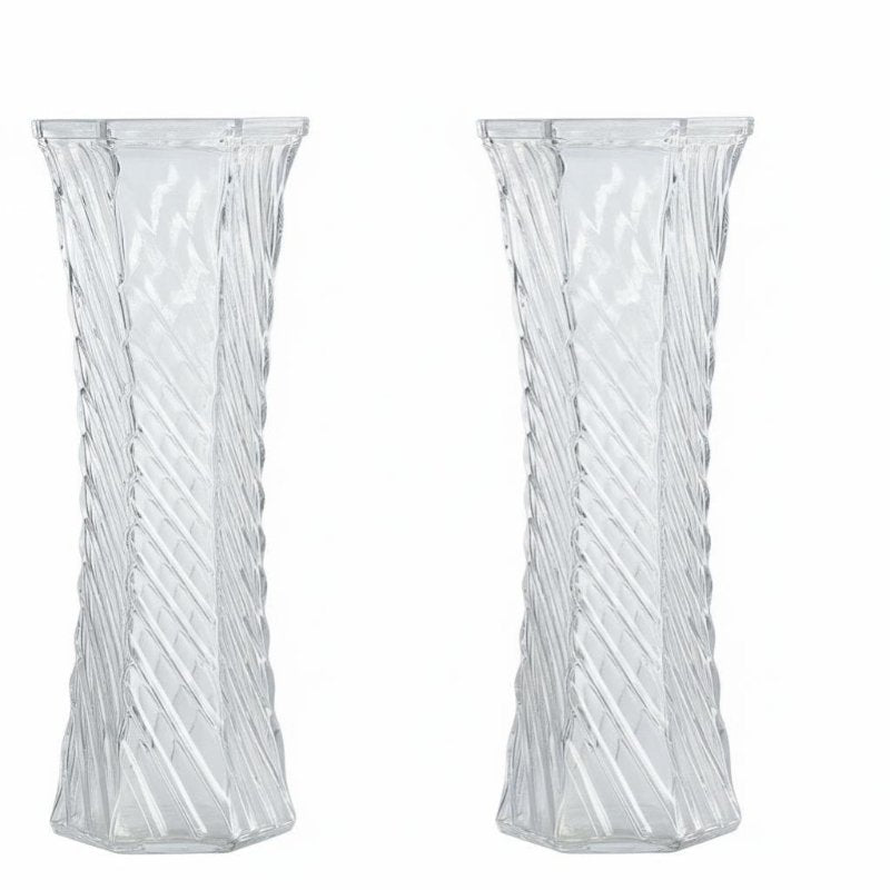 Glass Vase, Transparent, Water Propagation, Large Countertop Flower Container for Lucky Bamboo, Fresh or Dried Flowers