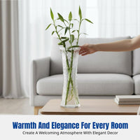 Glass Vase, Transparent, Water Propagation, Large Countertop Flower Container for Lucky Bamboo, Fresh or Dried Flowers