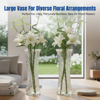 Glass Vase, Transparent, Water Propagation, Large Countertop Flower Container for Lucky Bamboo, Fresh or Dried Flowers