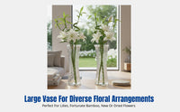 Glass Vase, Transparent, Water Propagation, Large Countertop Flower Container for Lucky Bamboo, Fresh or Dried Flowers