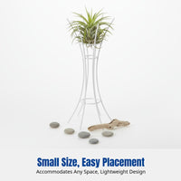 Minimalist Air Stand, Iron Tillandsia Holder, Desktop Hydroponic Rack, Clean Design
