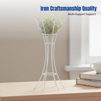 Minimalist Air Stand, Iron Tillandsia Holder, Desktop Hydroponic Rack, Clean Design