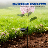 Solar Garden Hydrangea Flower Light, Outdoor Waterproof, Decorative Lawn Stake, Energy Efficient