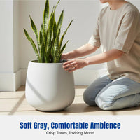 Nordic Cement Planter, Goblet Shape Flower Pot, Balcony, Living Room