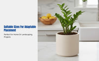 Minimalist Flower Pot, Degradable Planter, Sturdy Decorative Pot for Balcony, Home