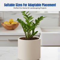 Minimalist Flower Pot, Degradable Planter, Sturdy Decorative Pot for Balcony, Home