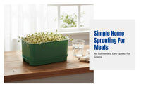 Home Sprouting Tray, Food Grade Bean Sprout Growing Tool, Hydroponic Germination Tray for Kitchen Garden