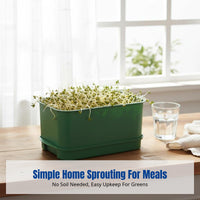Home Sprouting Tray, Food Grade Bean Sprout Growing Tool, Hydroponic Germination Tray for Kitchen Garden