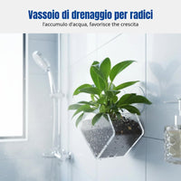 Acrylic Suction Drainage Tray, Rectangular Plant Pot, Indoor Decor
