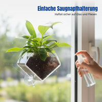 Acrylic Suction Drainage Tray, Rectangular Plant Pot, Indoor Decor