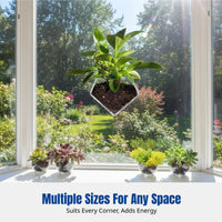 Acrylic Suction Drainage Tray, Rectangular Plant Pot, Indoor Decor