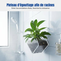 Acrylic Suction Drainage Tray, Rectangular Plant Pot, Indoor Decor