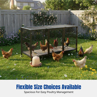 Home Poultry Enclosure, Predator-Resistant, Encrypted Square Tube, Iron Frame, Removable Tray