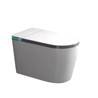 Smart Toilet, Automatic Bidet, Home, High Water Pressure, Large Seat, Warm Air
