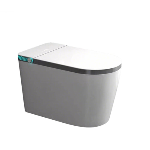 Smart Toilet, Automatic Bidet, Home, High Water Pressure, Large Seat, Warm Air