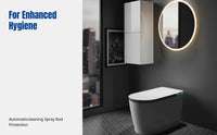 Smart Toilet, Automatic Bidet, Home, High Water Pressure, Large Seat, Warm Air