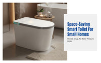 Smart Toilet, Automatic Bidet, Home, High Water Pressure, Large Seat, Warm Air