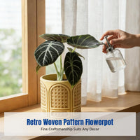 Retro Cement Flower Pot, Woven Lattice Pattern Planter with Tray, Indoor and Balcony Decoration