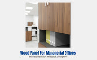 Engineered Wood Filing Cabinet, Storage Shelf, Office Organizer, Modern Minimalist, Floor Standing, Sliding Door