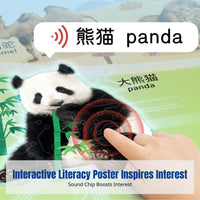 Early Learning Sound Poster, Interactive Talking Chart for Babies, Bilingual Educational Wall Toy