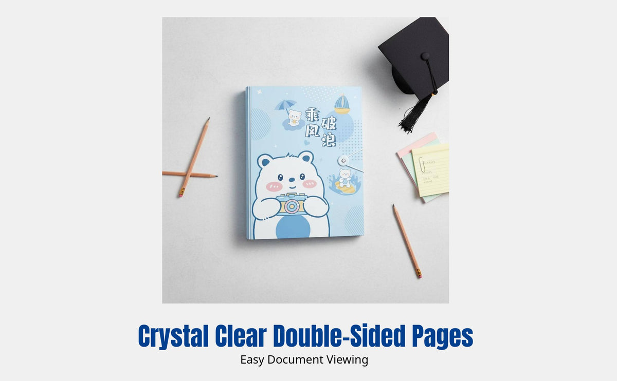 Letter-Size Document Folder, Transparent Inserts, Cartoon PP Cover, Student Organizer, Exam Paper Storage, Certificate